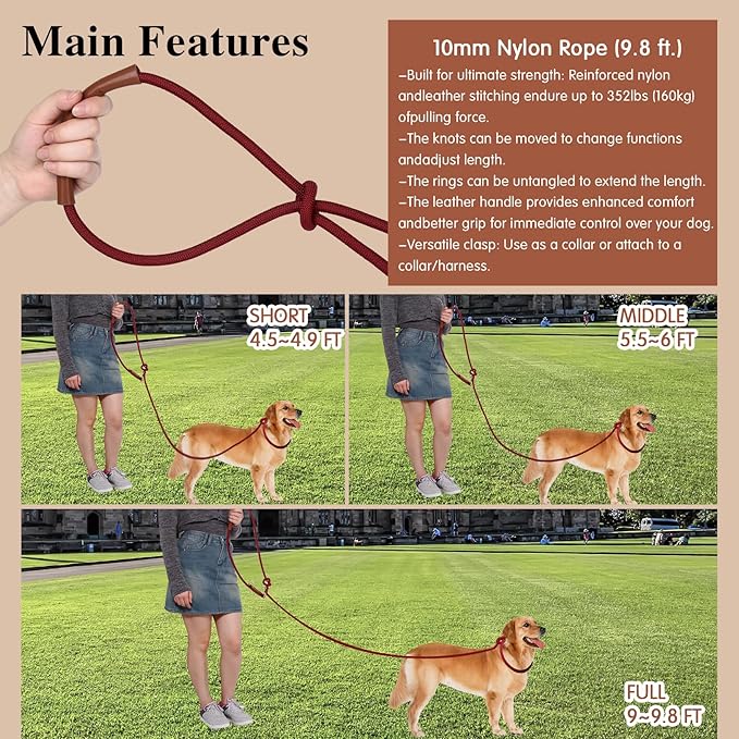 Tails & Tales Hands Free Dog Leash for Walking Running Training, Adjustable Lead Up to 9.8ft, Dogs Up to 125lbs, Crossbody, Dual Handle, Multifunctional, Double Attachment for 2 Dogs (Winery Red)