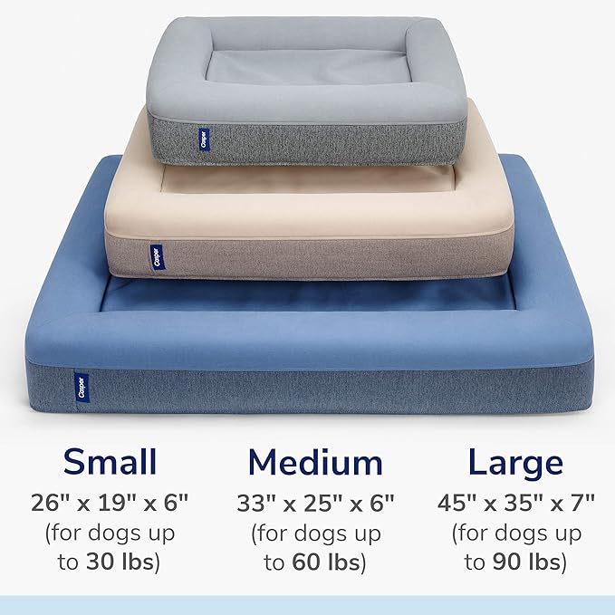 Casper Dog Bed, Plush Memory Foam, Medium, Gray, 25.0"L x 33.0"W x 6.0"Th