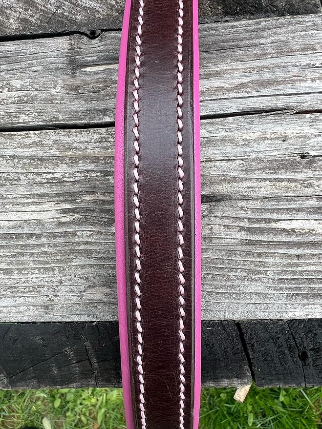 Leaders Leather Dog Collar with Customized Name Plate (Pink/Brown Small (9"-12"))