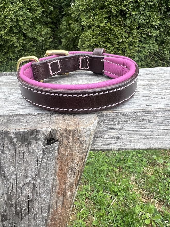 Leaders Leather Dog Collar with Customized Name Plate (Pink/Brown Small (9"-12"))