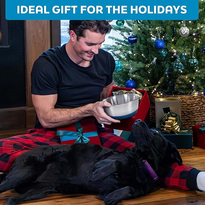 Master Pet Supply Stainless Steel Dog Bowls Set of 2 with Extra Thick Silicone Base - 2 Cup (16 oz) Plum Crazy, Non-Slip, Dishwasher Safe Metal Bowls, Pet Dog Food Bowl for Dogs, Cats, Anti Rust