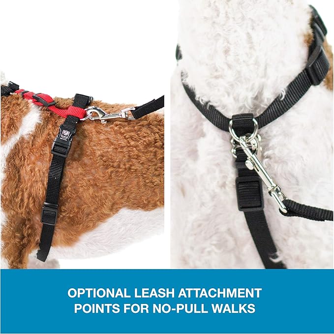 Blue-9 Pet Products No-Pull Balance Harness and Loose Leash Walking Set Dogs, Made in The USA, Red, Medium