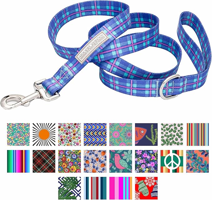 Lucky Love Dog Blue and Violet Plaid Dog Leash - Comfy & Soft & Cute for Boy and Girl Dogs - Small, Scotty