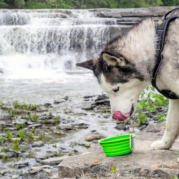 Mighty Paw Travel Dog Bowl Set - Silicone Food - Bonus Carabiner Clip - Ideal for Hiking - Camping - Lightweight - Leak-Proof - Collapsible Dog Bowl with Lid - Green - 2 Pack (27 Oz)