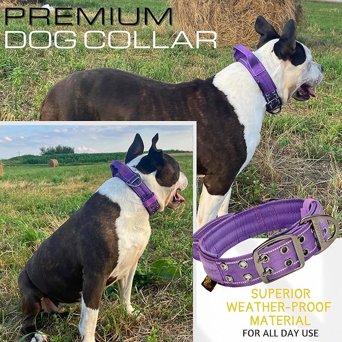 ADITYNA Heavy Duty Dog Collar for Large Dogs - Reflective Purple Collar with Handle for Training, and Walking - Wide, Thick, Tactical, Soft Neoprene Padded