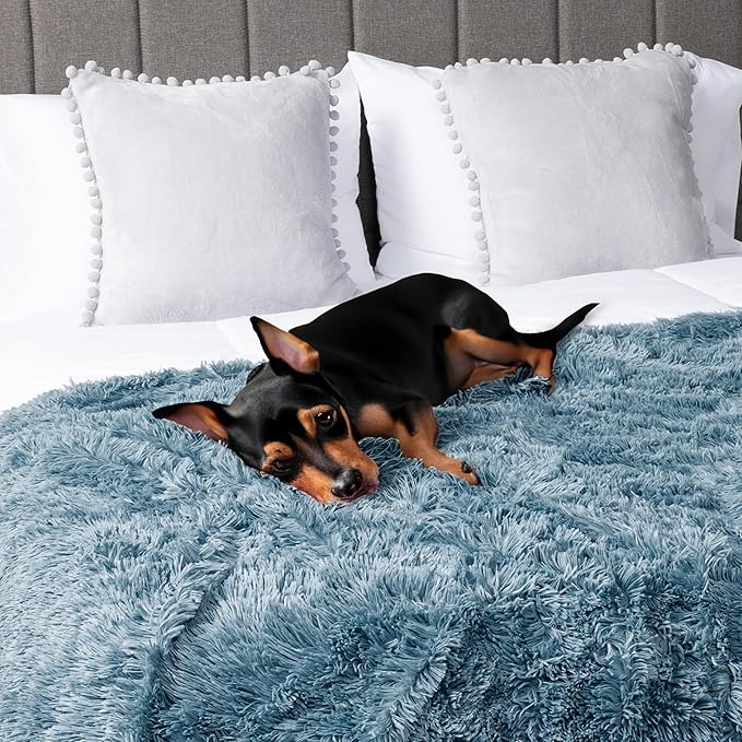 PetAmi Waterproof Dog Blanket for Large Dog, Calming Pet Blanket Bed Couch Cover Protector, Washable Sherpa Faux Fur Throw for Sofa Furniture Protection, Soft Fluffy 60x80 Light Blue
