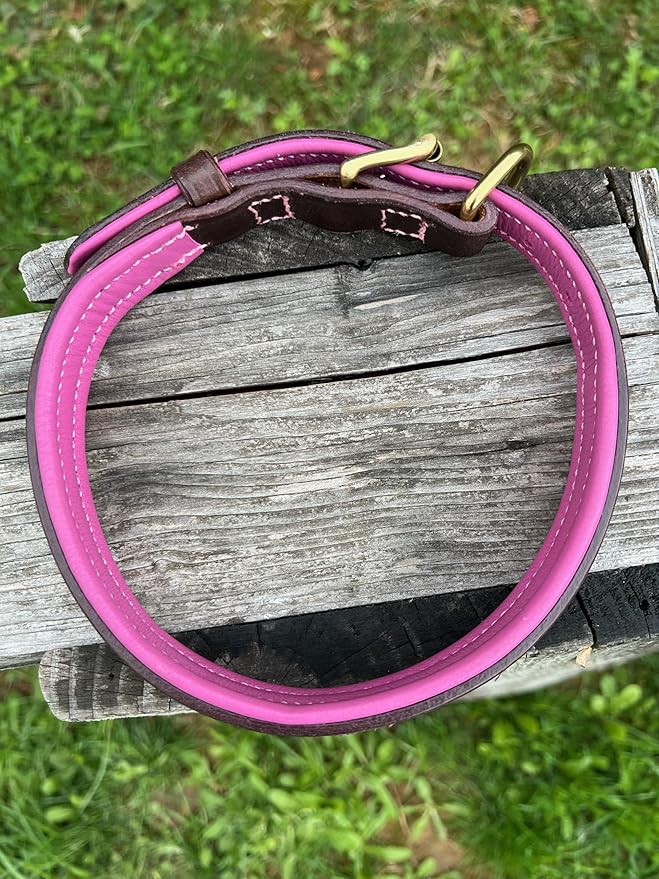 Leaders Leather Dog Collar with Customized Name Plate (Pink/Brown Medium/Large (15"-19"))