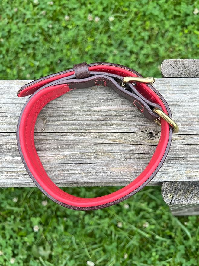Leaders Leather Dog Collar with Customized Name Plate (Red/Brown Medium (12"-15"))