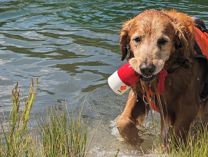 Bark Brite The Chewy Buoy Water Dog Toy