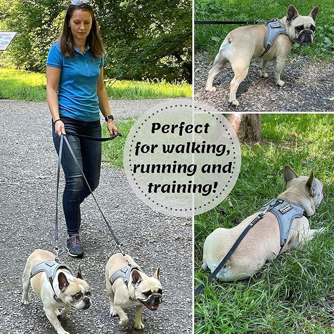 ADITYNA - Premium Leather Dog Leash - 6 ft, Heavy-Duty, Soft & Strong for Small/Medium Dogs (Small: 6 ft x 1/2", Black)