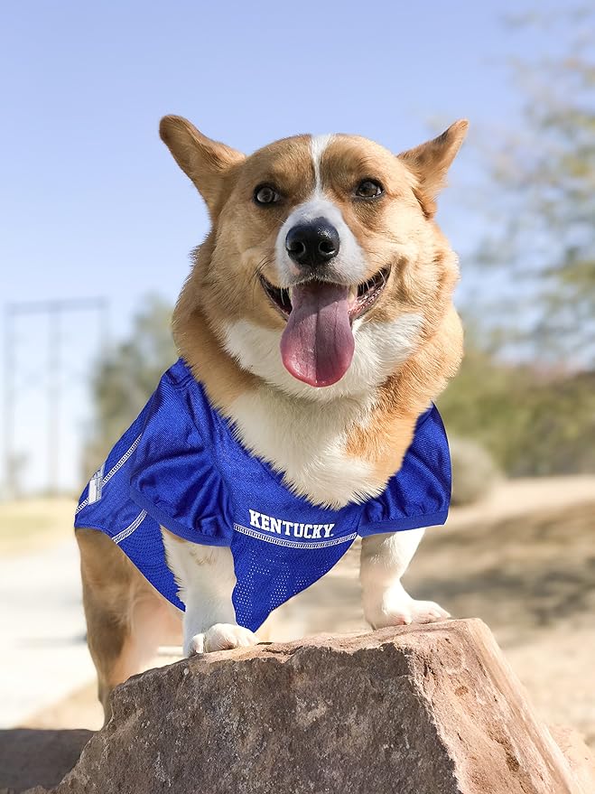 Pets First NCAA College Kentucky Wildcats Mesh Jersey for DOGS & CATS, Medium. Licensed Dog Jersey with your Favorite Football/Basketball College Team