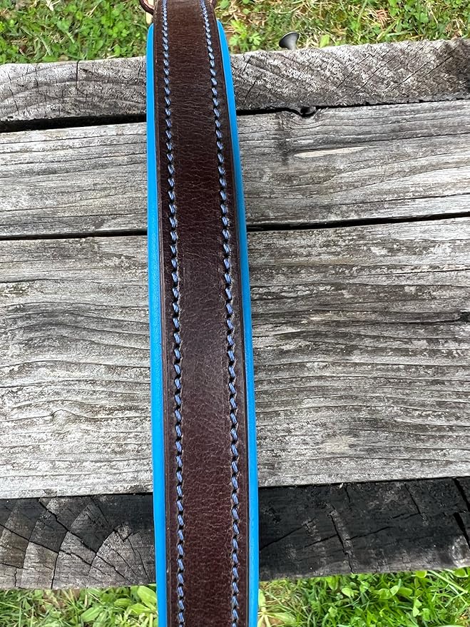 Leaders Leather Dog Collar with Customized Name Plate (Royal Blue/Brown Medium (12"-15"))