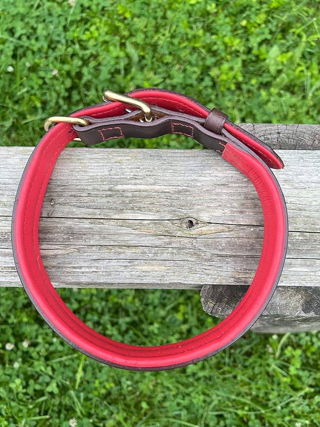 Leaders Leather Dog Collar with Customized Name Plate (Red/Brown Large (18"-22"))