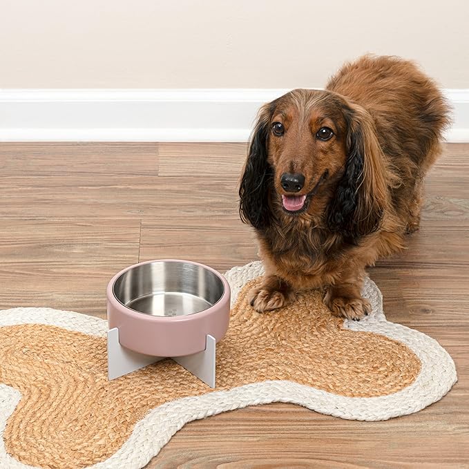DBL3000A Intersecta Small/Medium Concrete and Stainless Steel Bowl 16oz (2 Cups) with Metal Stand Pet Feeder, Pink/White