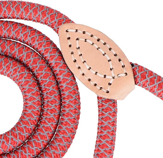 Mile High Life Reflective Dog Leash - Heavy Duty Nylon Rope Leash for Small to Large Dogs, Climbing Rope Design with Leather Tip (Red, 48 Inch)