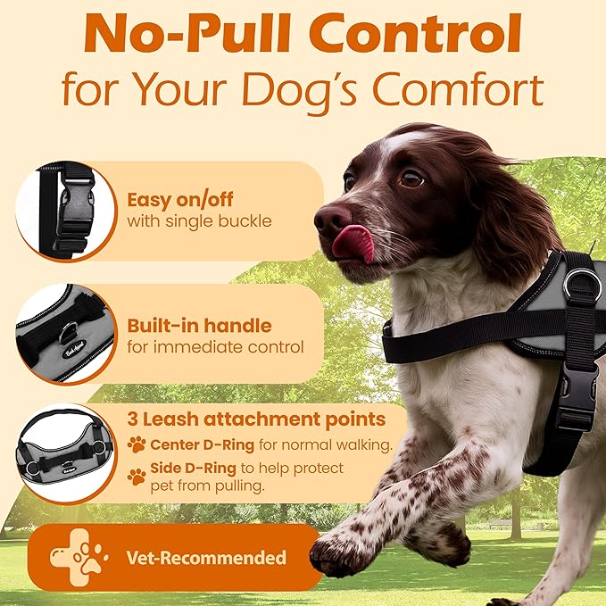 Bark Appeal Gray No-Pull Dog Harness for Medium to Large Sized Pets – Adjustable, Reflective Vest with 3 Leash Clips for Added Control, Easy Walks & Training – L