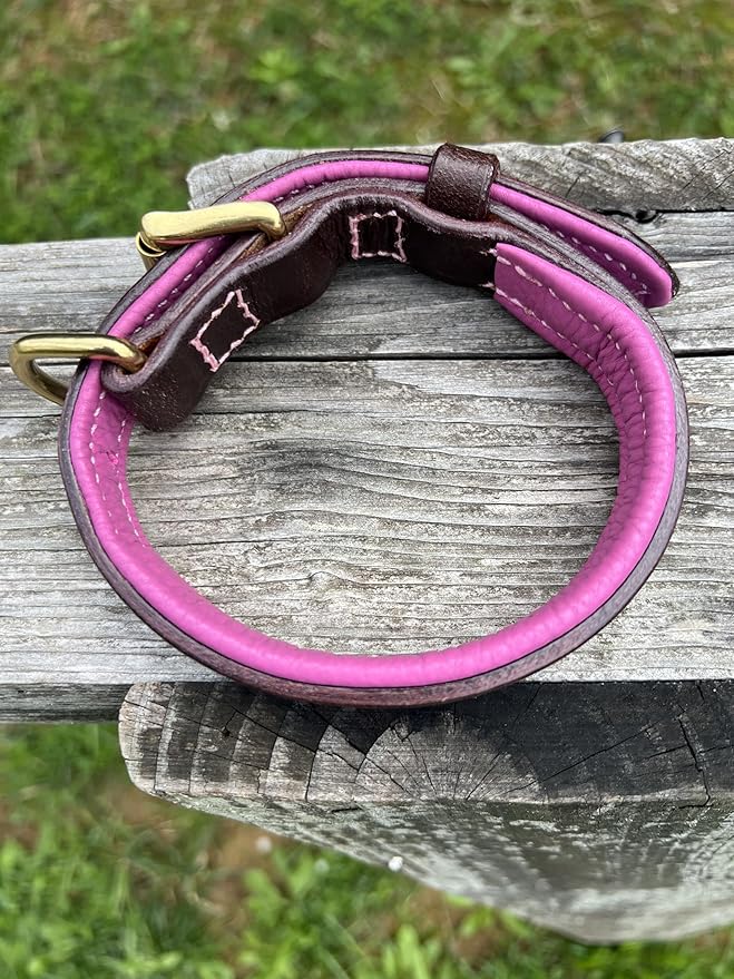 Leaders Leather Dog Collar with Customized Name Plate (Pink/Brown Small (9"-12"))