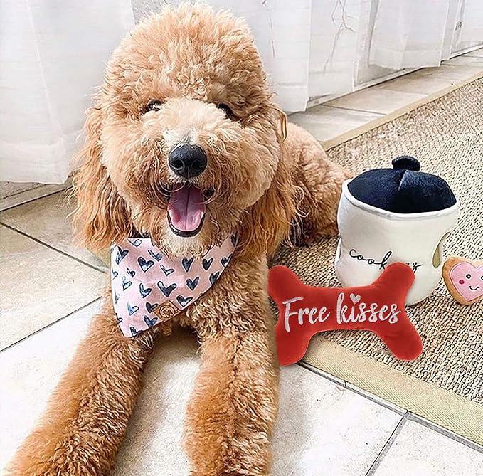 Valentines St Patrick's Day Dog Toy, Plush Pet Squeaky Bone Toys for Puppy
