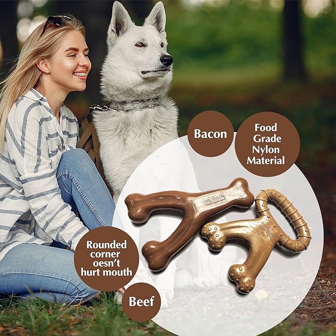 Dog Chew Toys for Aggressive Chewers (2Pcs - Real Beef & Bacon Flavored) - Durable Dog Tough Wish Bone (Upto 60 lbs.) - Indestructible Chew Toys for Dogs for Interactive Play & Dental Benefits