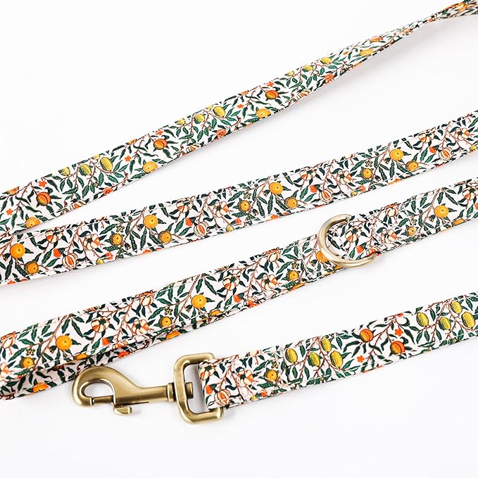 Organic Cotton Dog Leash for Small,Medium and Large Breed,Brass Hardware Pet Leash for Walking,Running and Training 6FT