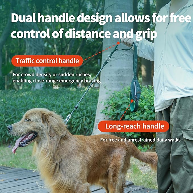 Dog Slip Lead Dog Leash, Heavy Duty No-Pull Training Leash w/Poop Bag Holder, Anti-Tangle, Multi-Handles & Reflective Thread for Medium, Large Dogs 5.5FT Cyan
