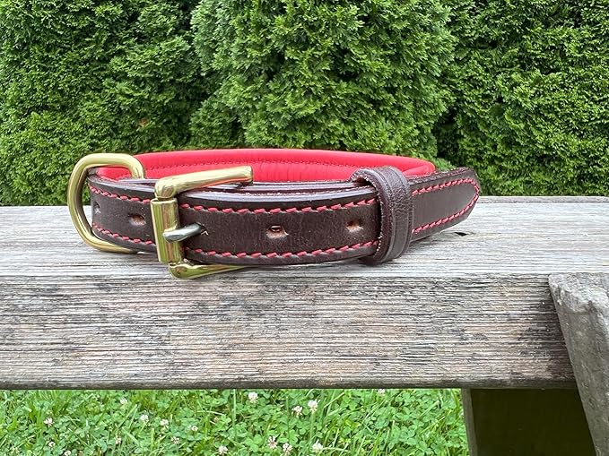 Leaders Leather Dog Collar with Customized Name Plate (Red/Brown Medium (12"-15"))