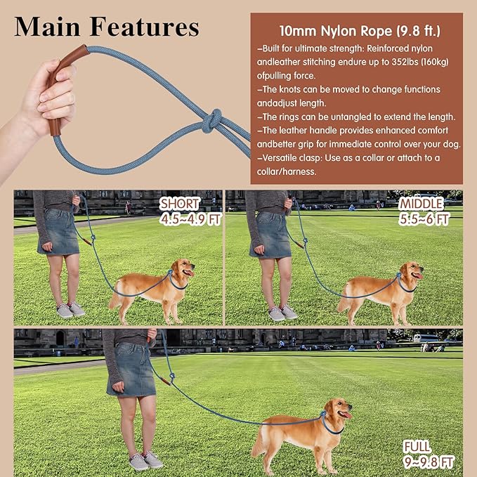 Tails & Tales Hands Free Dog Leash for Walking Running Training, Adjustable Lead Up to 9.8ft, Dogs Up to 125lbs, Crossbody, Dual Handle, Multifunctional, Double Attachment for 2 Dogs (Tapestry Blue)