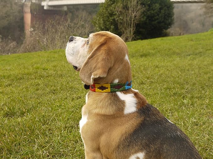Gaucho Goods Premium Soft Leather Dog Collar (L, Woodstock)