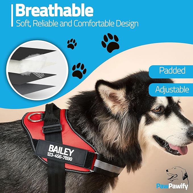 PawPawify Personalized No Pull Dog Harness with 2 Custom Name & Phone Patches, Reflective Breathable Pet Vest for Walking Training, Adjustable Heavy Duty Service Dog Vest for Small Medium Large Dogs