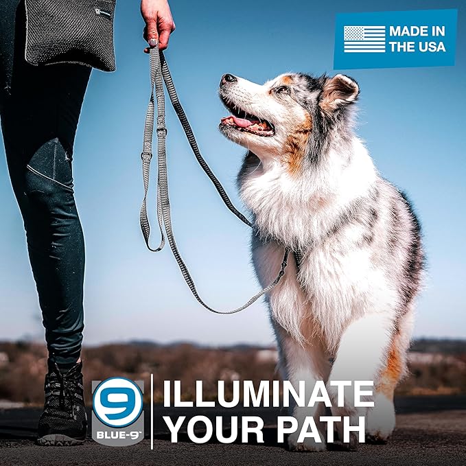 Blue-9 Reflective Multi-Function Dog Leash, Double Attachment Adjustable Lead for Obedience Training and Running, 6 Feet, Made in The USA, Small/Medium, Red