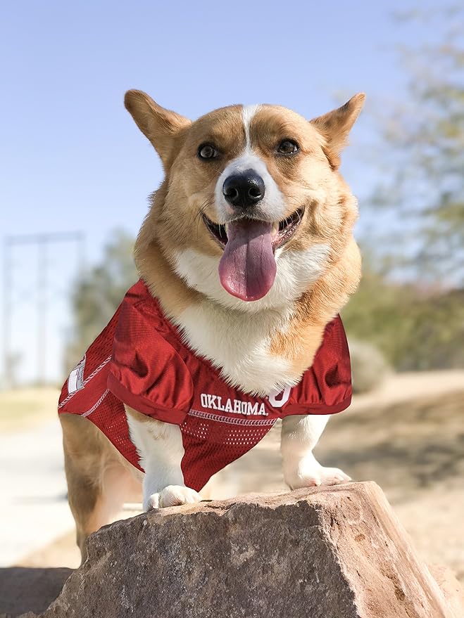 NCAA College Oklahoma Sooners Mesh Jersey for Dogs & Cats, XXX-Large. Licensed Big Dog Jersey with Your Favorite Football/Basketball College Team