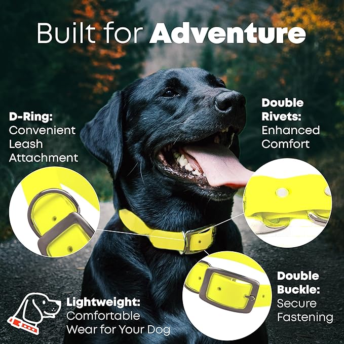 Regal Dog Products Large Yellow Waterproof Dog Collars with Custom Engraved Name Plate | Vinyl Coated, Anti, Easy to Clean Personalized Biothane Dog Collar - Other Sizes for Small & Medium Dogs