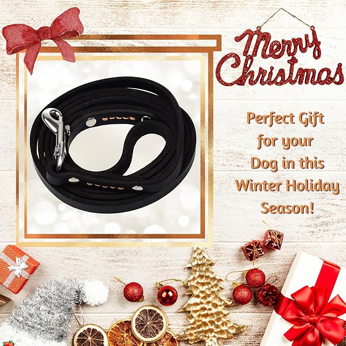 ADITYNA - Premium Leather Dog Leash - 6 ft, Heavy-Duty, Soft & Strong for Small/Medium Dogs (Small: 6 ft x 1/2", Black)