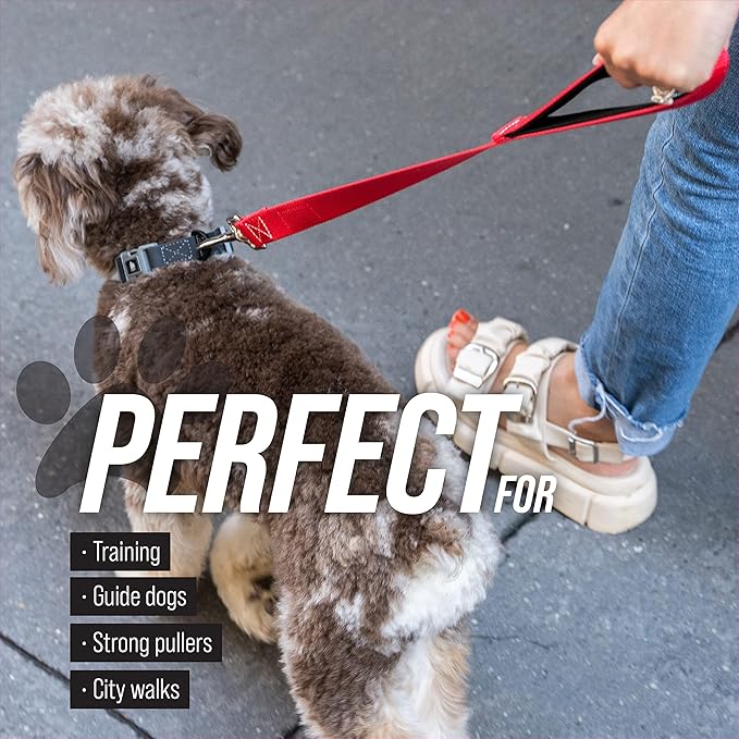 Leashboss Short Dog Leash for Dog Training | Padded Traffic Handle Short Leash for Dog Training, Total Comfort when Dog Walking | Traffic Leash for Dogs Large, Medium, Small | Short Nylon Dog Lead