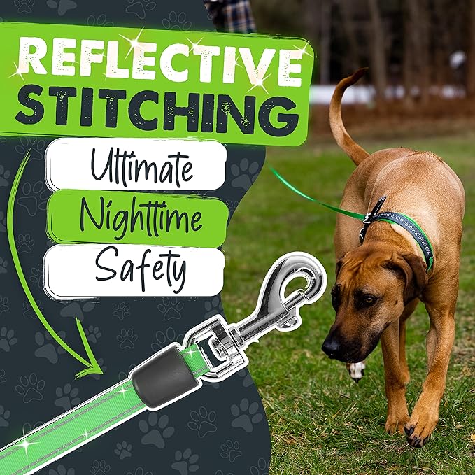 Mighty Paw Retractable Leash with Built-in Poop Bag Holder | 16' Long Retractable Dog Leash for Small Dogs, Medium Breeds & Large Pets with Tape for Quick Control. Poop Bags Included
