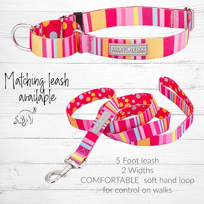 Lucky Love Dog Martingale Dog Collar - Adjustable, No-Slip, Durable, & Soft Webbing Collar for Male and Female Dogs Ideal for Training & Walking - Molly, Small