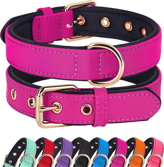 Didog Soft Padded Dog Collar for Large Dogs, Lightweight and Breathable Dog Collar with Metal Buckle, Rose Purple, XL