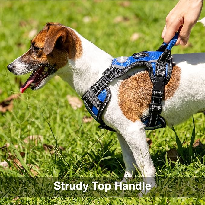 No Pull Dog Harness, Reflective Walking Dog Harness with Easy Control Handle and Front & Back Clips,Adjustable Breathable Soft Padded Dog Vest Harness for Large Medium Small Dogs,Blue,L