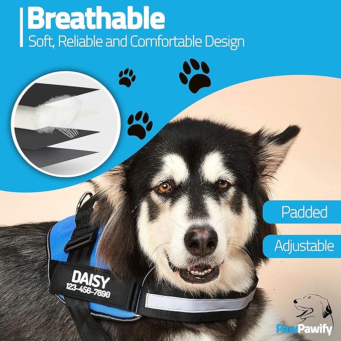 PawPawify Personalized No Pull Dog Harness with 2 Custom Name & Phone Patches, Reflective Breathable Pet Vest for Walking Training, Adjustable Heavy Duty Service Dog Vest for Small Medium Large Dogs