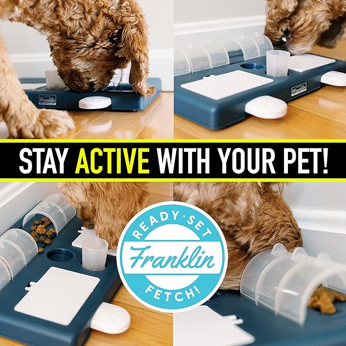 Franklin Pet Supply Co. Interactive Dog Toy + Puzzle Feeder - Dog Food + Treat Puzzle Game Set for Small, Medium + Large Dogs - Enrichment Training Toy + Slow Feeder for All Dogs