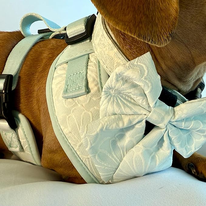 Small Dog Collar and Harness Set – No Pull, All-Weather, Breathable Harness & Leash Set with Collar, Bandana, Sailor Bow & Poop Bag Holder – Adjustable & Soft - Divine Petals on Jacquard Fabric