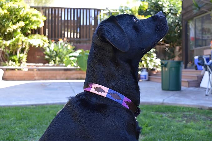 Gaucho Goods Soft Leather Dog Collar - Cali Girl (M)