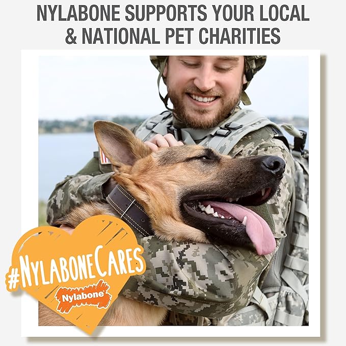 Nylabone Gourmet Style Stick Strong Chew Toy for Puppies, Soothing Puppy Teething Toys, Puppy Enrichment, Chicken Flavor, Medium - Up to 35 lbs., 1 Count