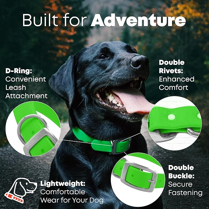 Regal Dog Products Small Light Green Waterproof Dog Collars with Custom Engraved Name Plate | Vinyl Coated, Easy to Clean Personalized Biothane Dog Collar - Other Sizes for Medium & Large Dogs