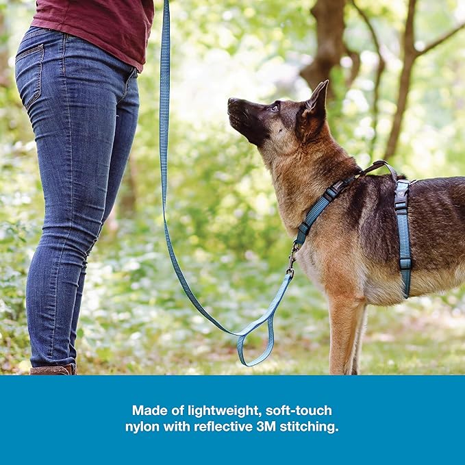Blue-9 Reflective Dog Leash, Multi-Function 6 Foot Adjustable Lead with Traffic Loop and 3M Reflective Stitching for Obedience, Running, and Agility Training, Made in The USA, Medium/Large, Blue