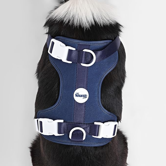 HNS1003J Arlo Large Adjustable Soft Padded No Pull Pet Harness with 3 Buckles and 3 Leash Clips, Highball