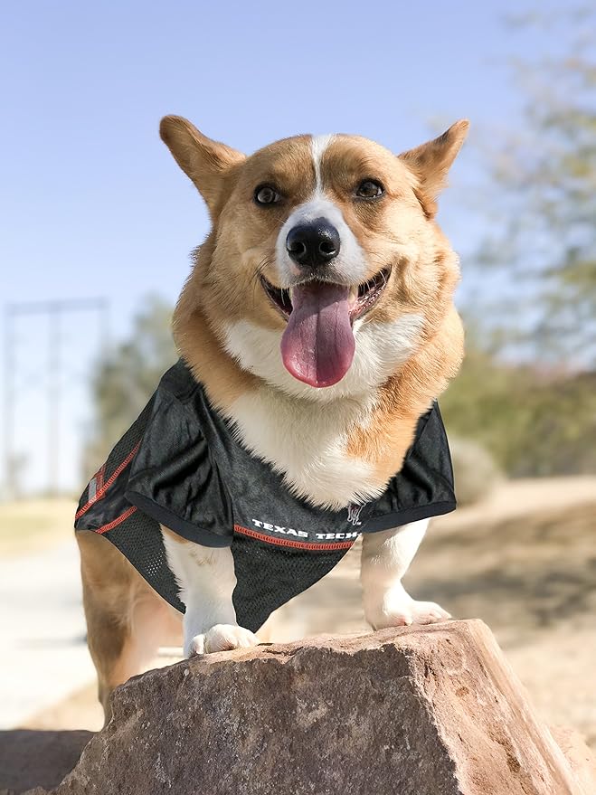 Pets First NCAA College Texas Tech Red Raiders Mesh Jersey for DOGS & CATS, Medium. Licensed Dog Jersey with your Favorite Football/Basketball College Team