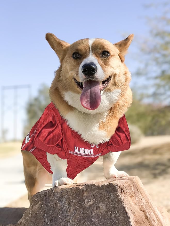 Pets First NCAA College Alabama Crimson Tide Mesh Jersey for DOGS & CATS, Small.Licensed Dog Jersey with your Favorite Football/Basketball College Team