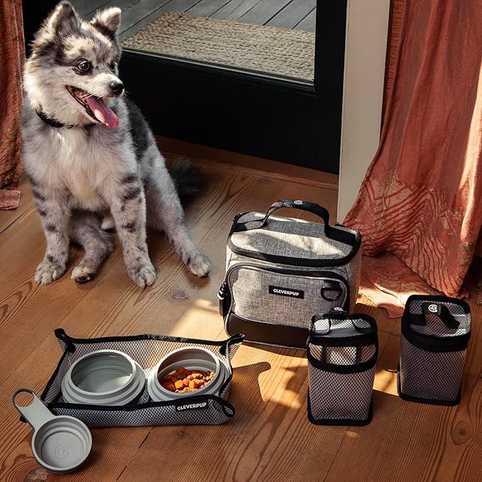 Cleverpup, Small 7-Piece Bistro Box Dog Food Travel Kit, 6-Cup BPA-Free Kibble Storage, 2 Silicone Bowls, Mat & Scoop - Portable Pet Food Kit for Weekends, Overnights, Daycare & Camping, Heather Grey