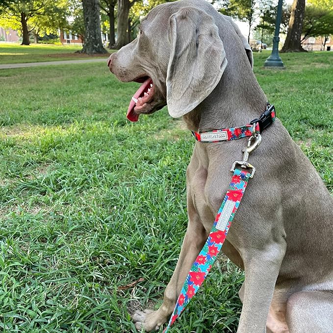 Lucky Love Dog - Adjustable Dog Collar with Easy Click Noel for Small Ones, Durable, & Comfortable for Male & Female Dogs, Pet Collar for Puppies & Adult Dogs - Noel, XS